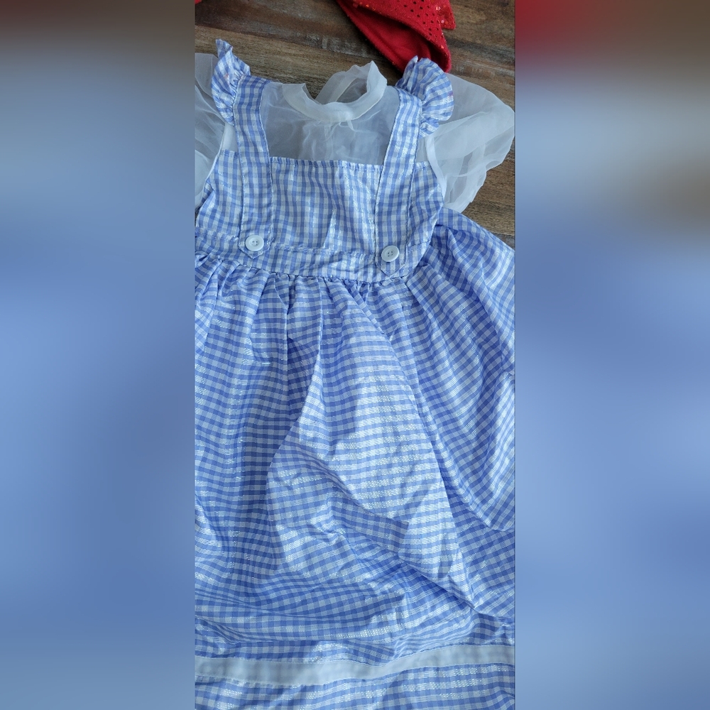 Wizard Of OZ Dorothy Kids Costume - Picture 6 of 10